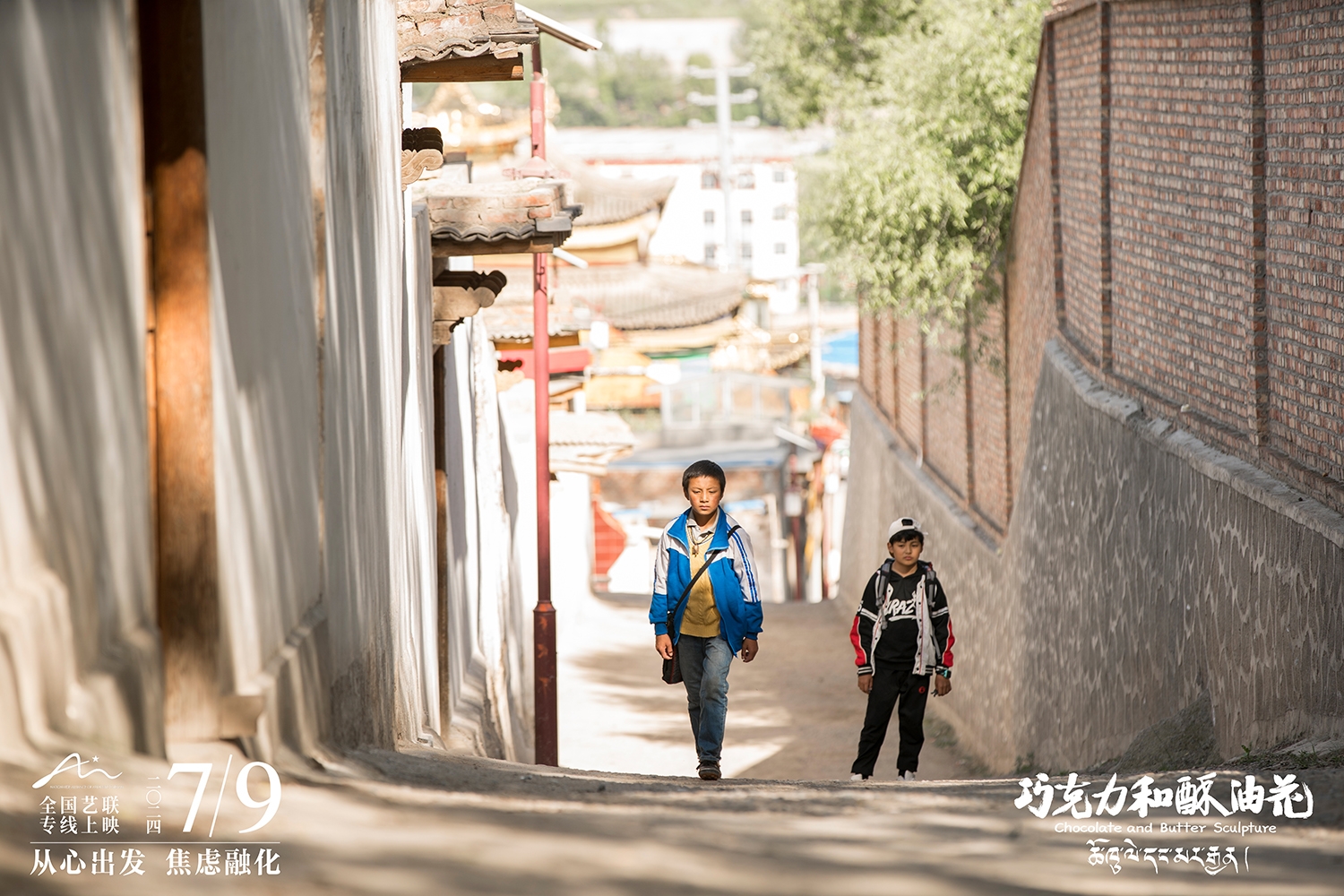 最新电视剧强推，探索自然美景的治愈之旅，启程内心平和之旅