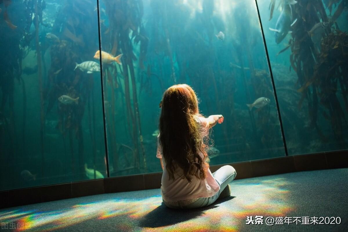 最新科学奖，与自然美景的探秘之旅，寻求内心平和的旅程