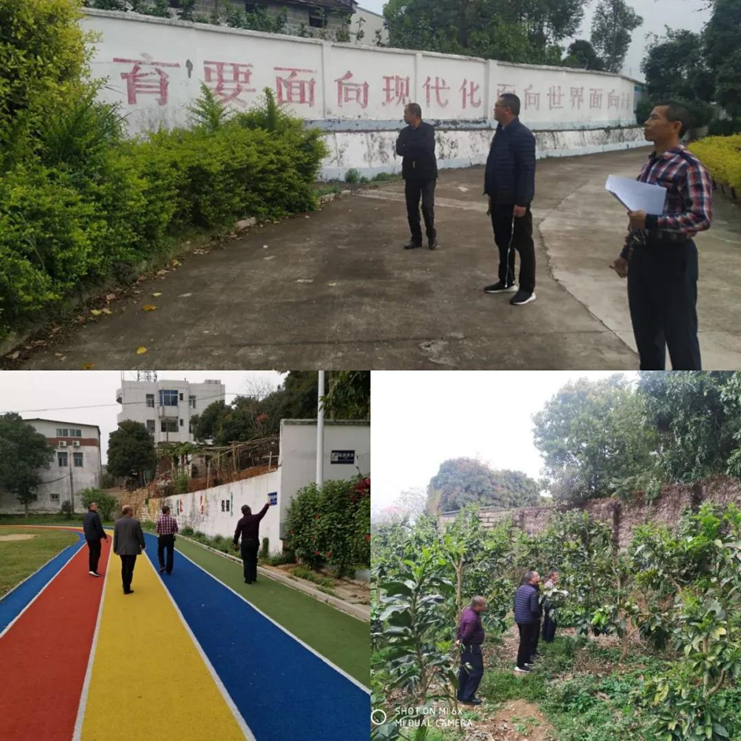 天津疫情最新通报，自然之旅中寻找内心宁静与平和