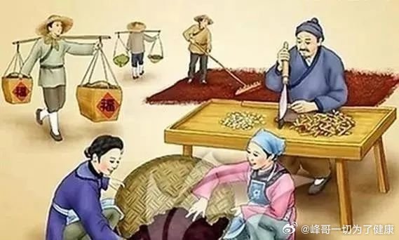 婿医最新章节深度解析与观点阐述