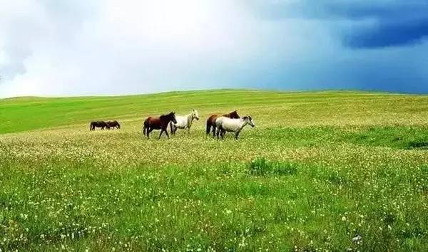 淘礼包最新版，自然美景之旅的启程号角