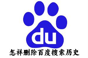 最新百度历史详解，步骤指南与操作概述