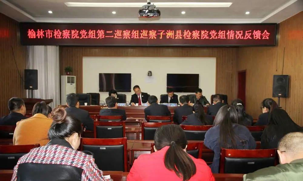 子洲新闻网最新消息多维度视角下的深度观点分析