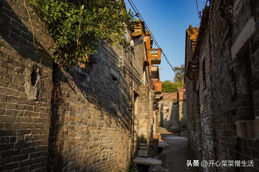 探寻自然美景的宁静之旅