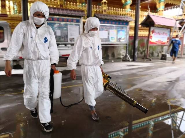景洪登革热最新疫情通报，科技之光助力健康之路