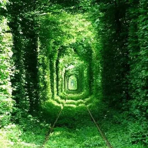 自然美景的旅行之道探索与发现