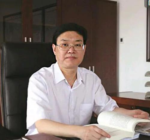 王志富最新动态揭秘，多维度视角下的深入探讨