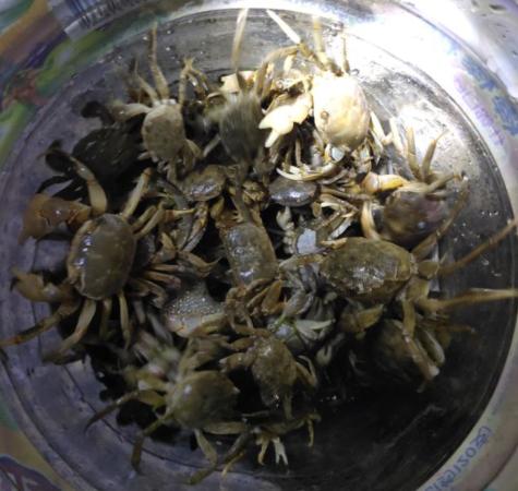 潍坊新动态，城市变迁中的我们，共迎自信与成就感的春天