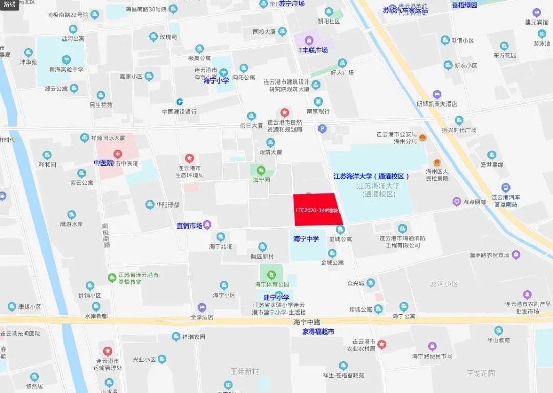 海宁土地拍卖最新动态，一段融合温馨与趣味的日常故事