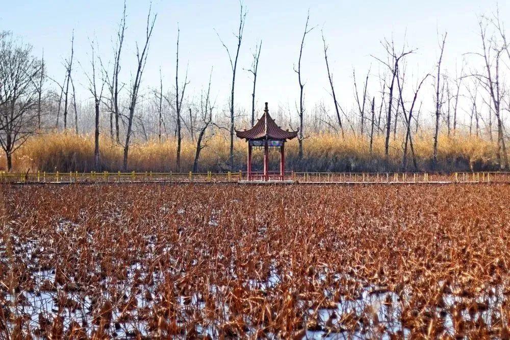 探索自然美景之旅 第5页
