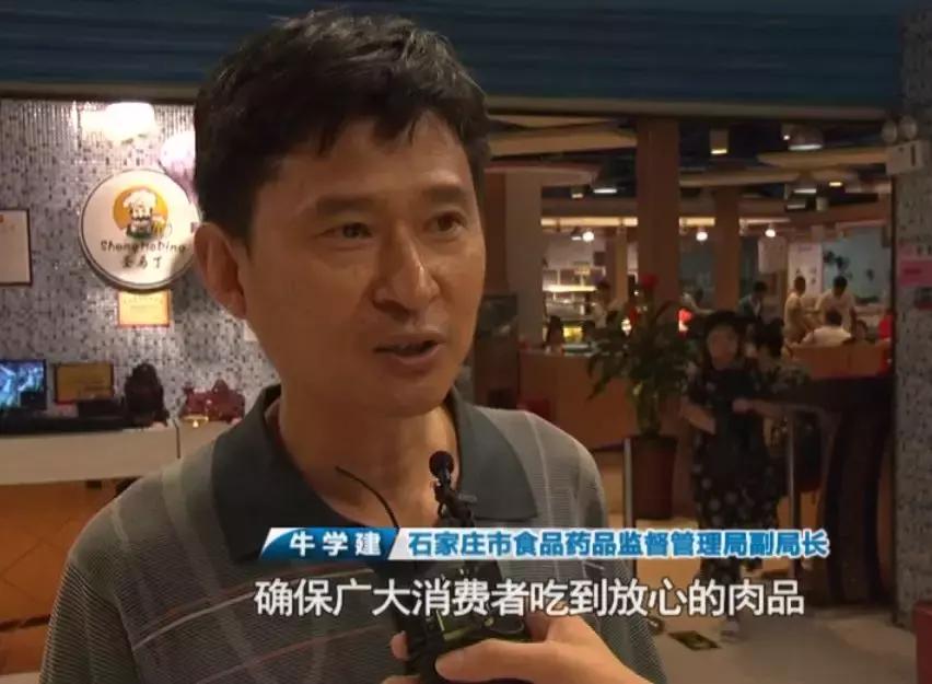 YZ最新资讯详解，最新动态与详细步骤指南