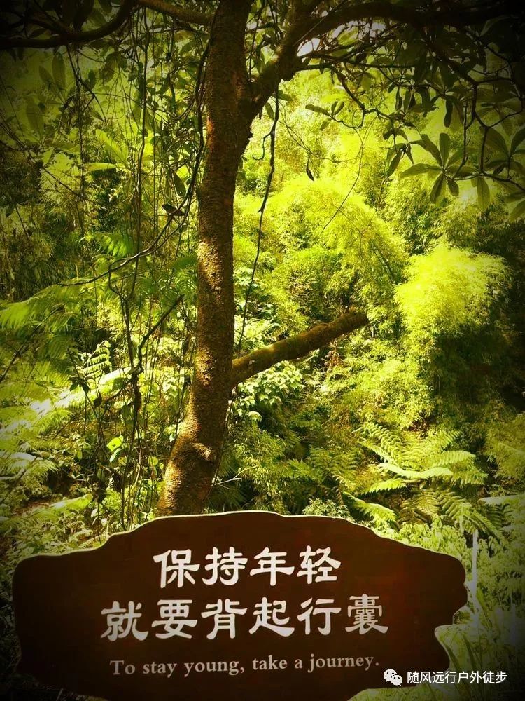 暴常青最新动态，拥抱自然，踏上寻找内心平静的旅程之旅