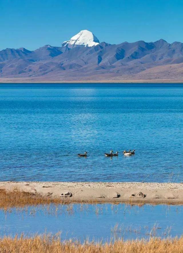 最新密码解锁自然美景，心灵之旅启程