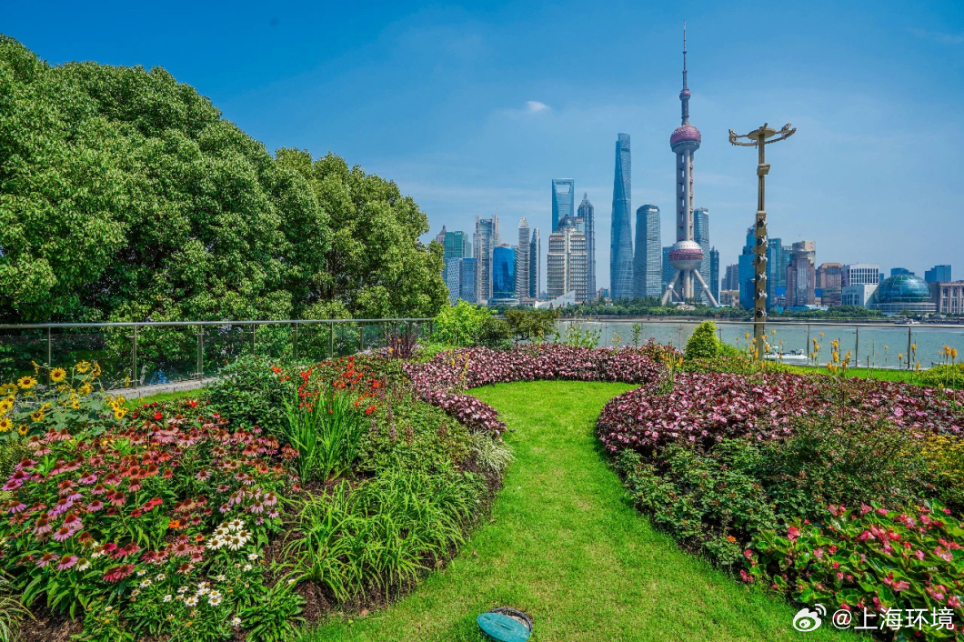 上海环境最新动态，自然美景的探索之旅