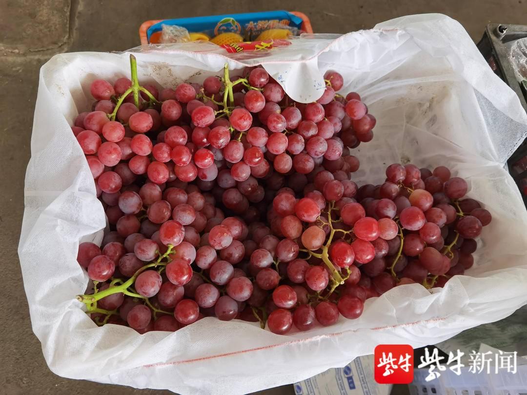 镇江新区最新招聘信息揭秘，探索自然美景，寻找内心的宁静与平和之旅