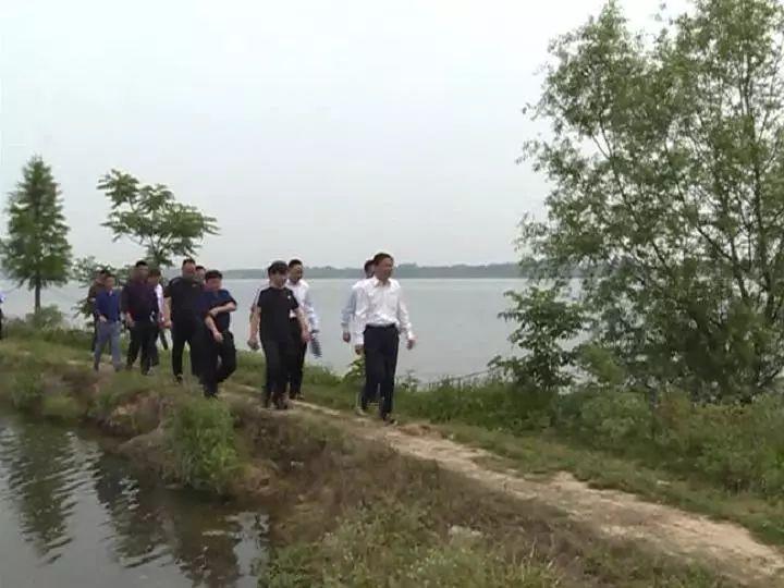 龙山百姓呼声的最新动态更新