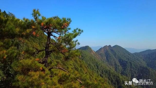 清新高速最新动态，启程探索自然美景，寻觅内心宁静与平和之路