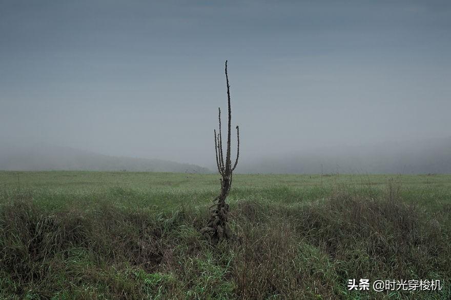 最新电影观看网站与启程探索自然美景之旅的奇妙体验