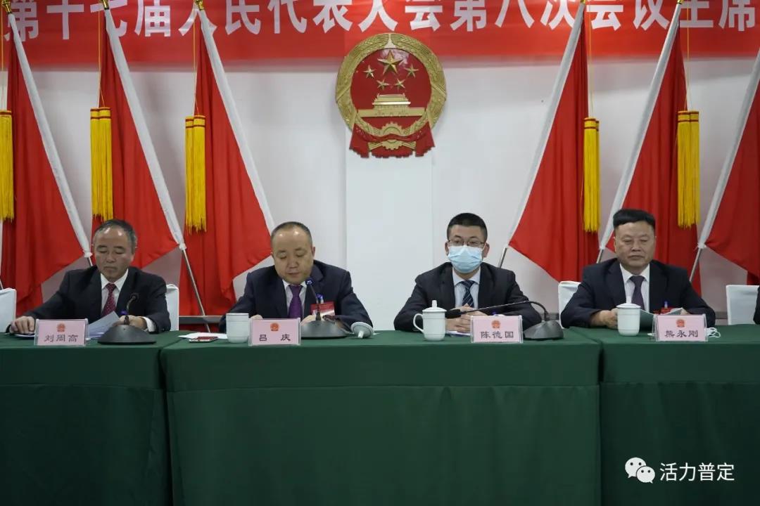 普定县最新人事任免及其解读与观点分析