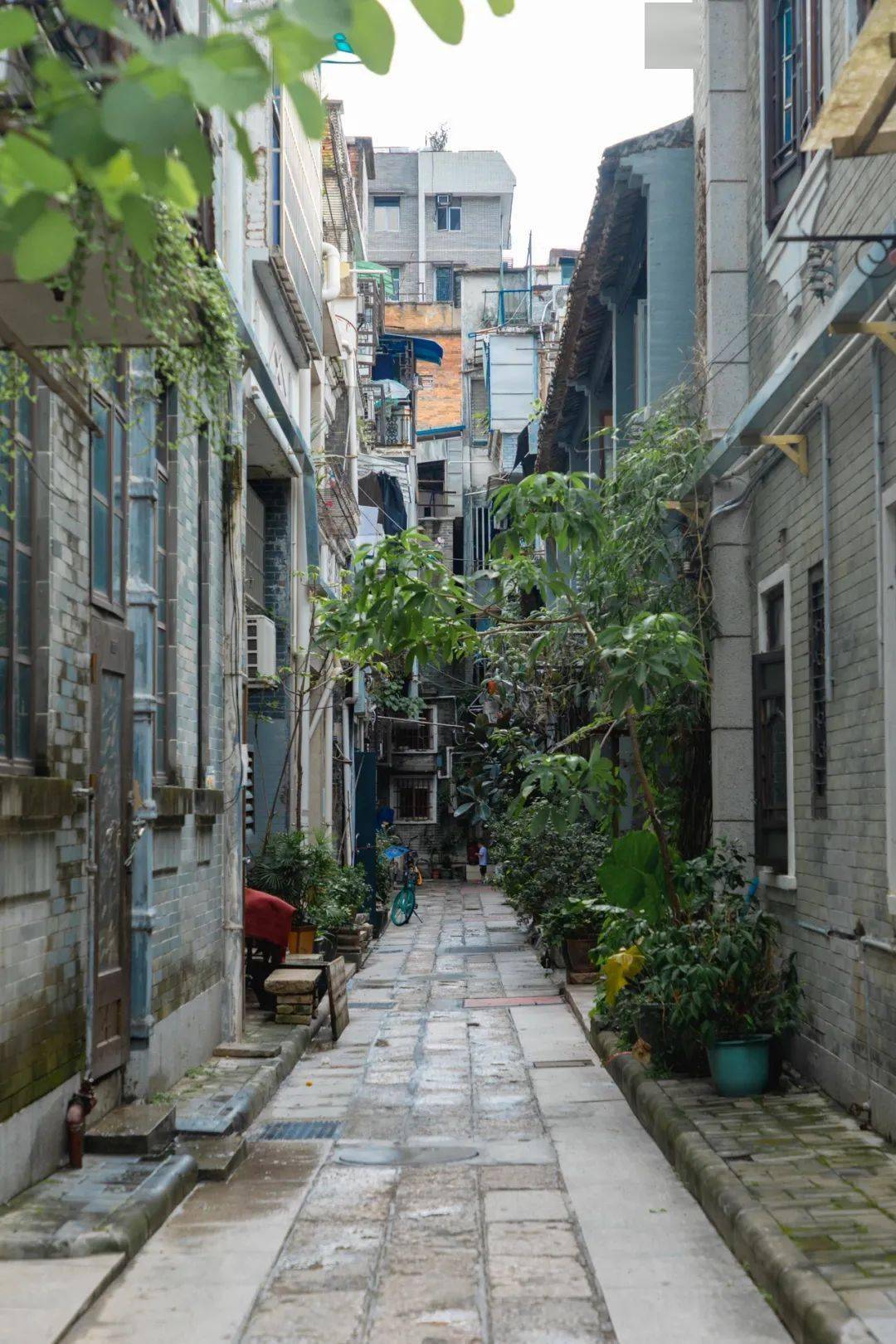 东阳光科最新动态，小巷特色小店成隐藏宝藏的独特魅力