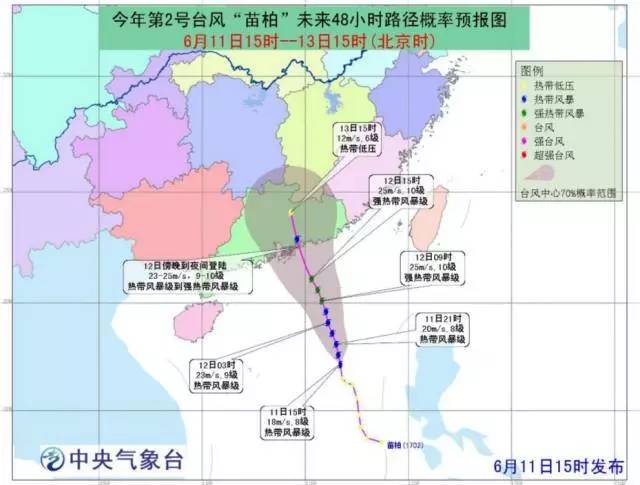 台风苗柏最新动态，一场与自然的轻松旅行