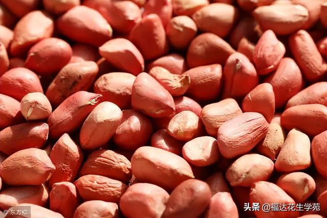 河南正阳花生米最新价格,河南正阳花生米最新价格，小巷中的美味探索之旅
