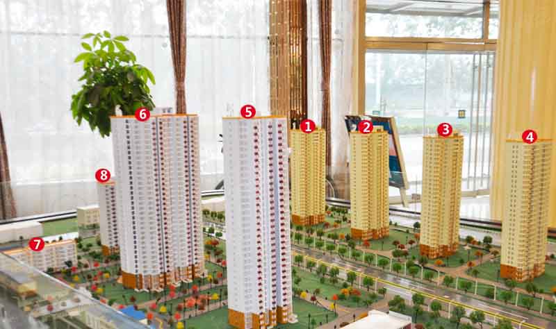 金通家园最新动态解析，全面解读与观点阐述
