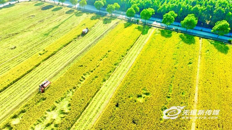 江阴交通事故最新进展，智能科技利器助力安全守护先锋