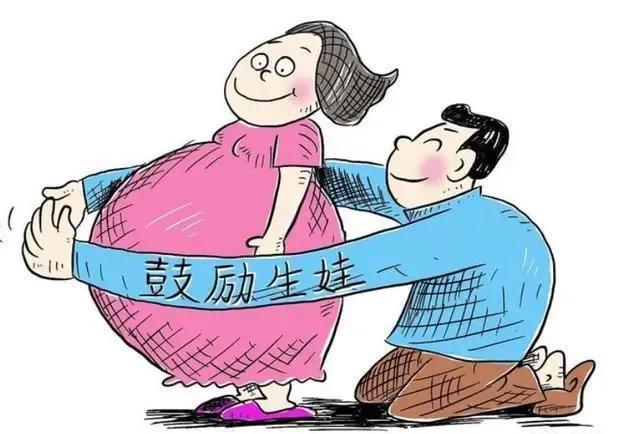 小型垃圾焚烧炉 第260页