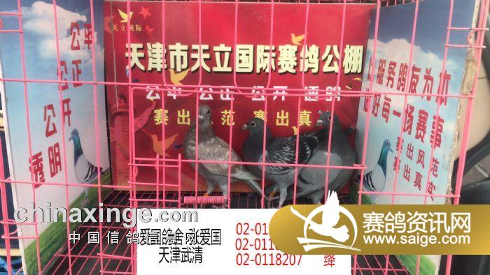天津丽翔公棚最新公告及其观点论述揭秘