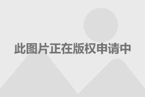李连杰最新动态，全方位了解与关注指南