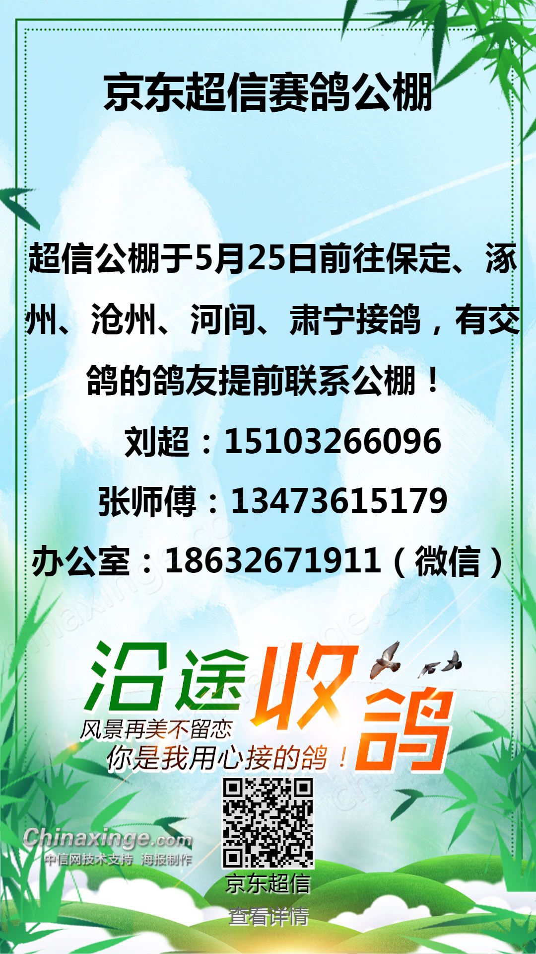 东信赛鸽公棚最新公告及任务完成指南发布