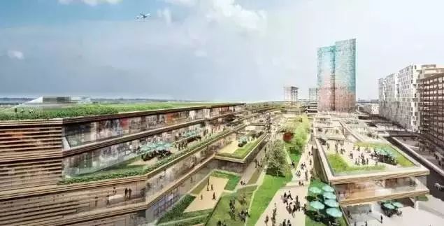 银宝山新最新消息，日常趣事与温馨瞬间聚焦报道