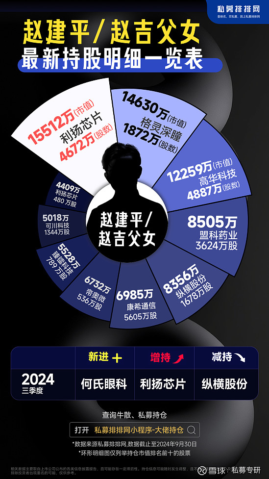 赵建平最新持股深度解析，投资组合与策略探讨