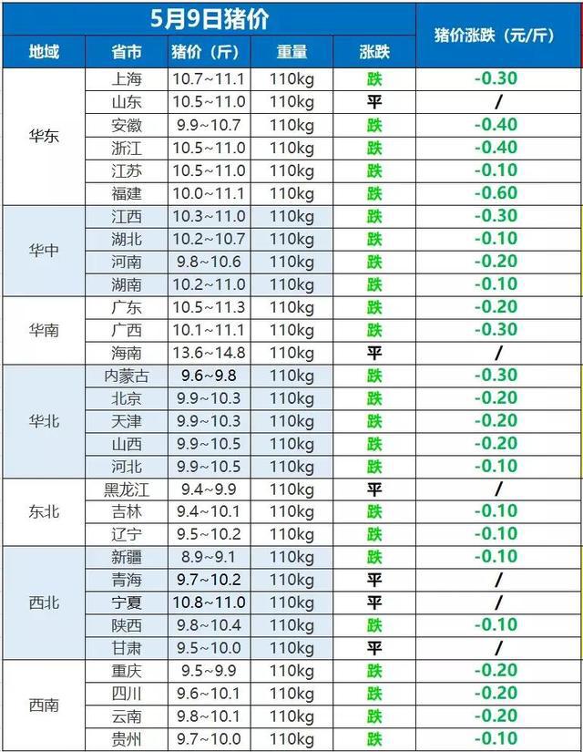 今日猪价最新走势价格,今日猪价最新走势价格论述