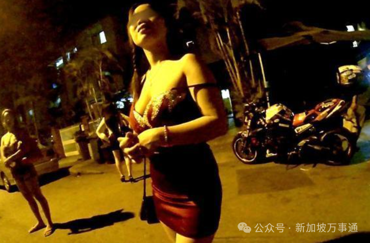 远离色情内容，品味温馨日常的友情与陪伴故事