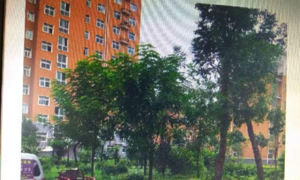 许昌二手房最新出售信息概览