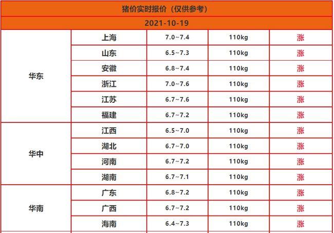 今日全国猪价最新动态，市场波动与时代镜像的反映