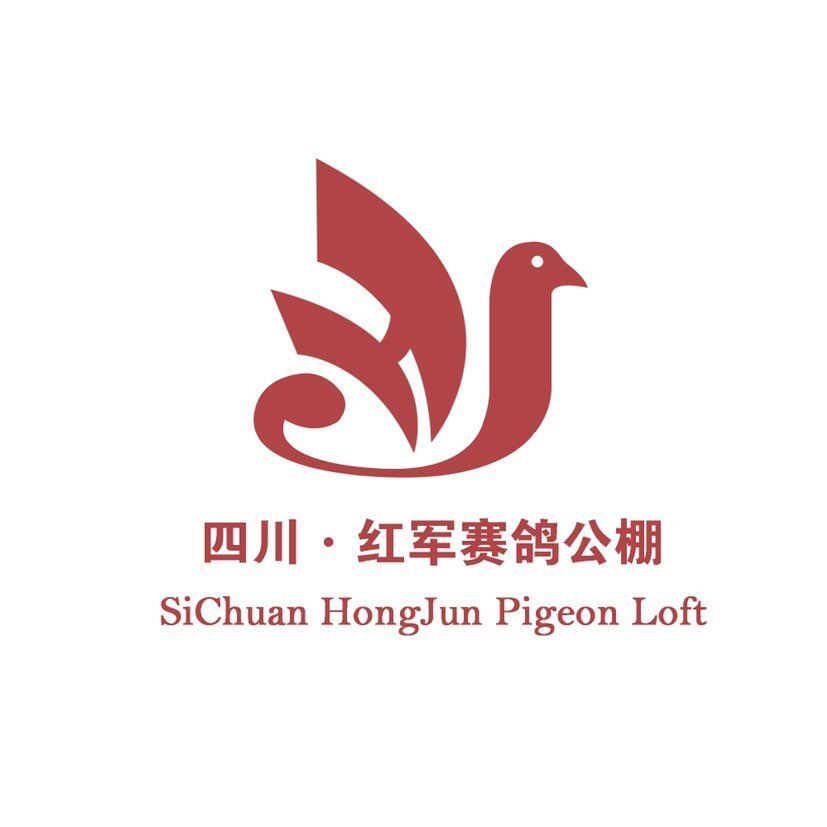四川红军公棚最新公告发布✨