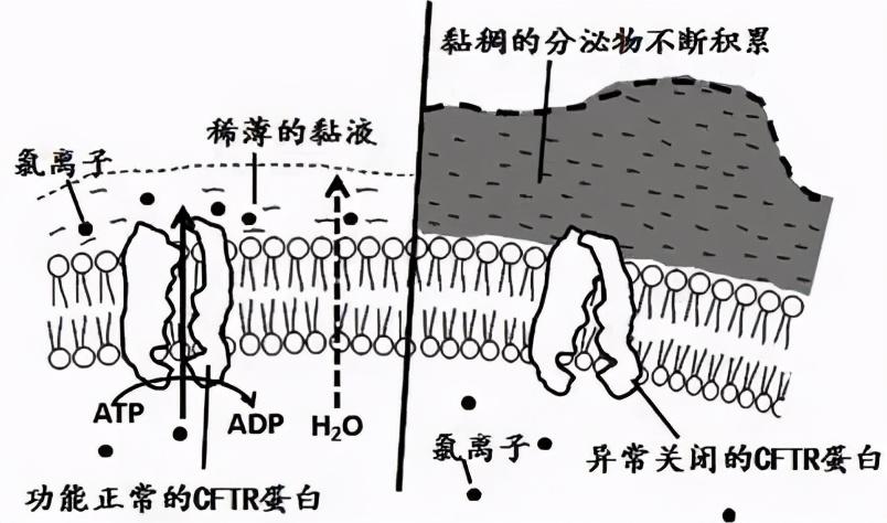 垃圾焚烧炉 第235页