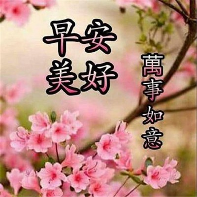 大家早上好最新图片，视觉问候的力量与影响