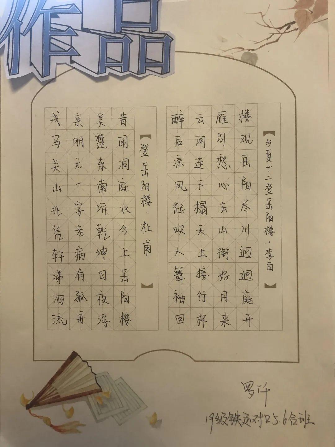 丰田新能源汽车最新款，与自然美景的诗意之旅