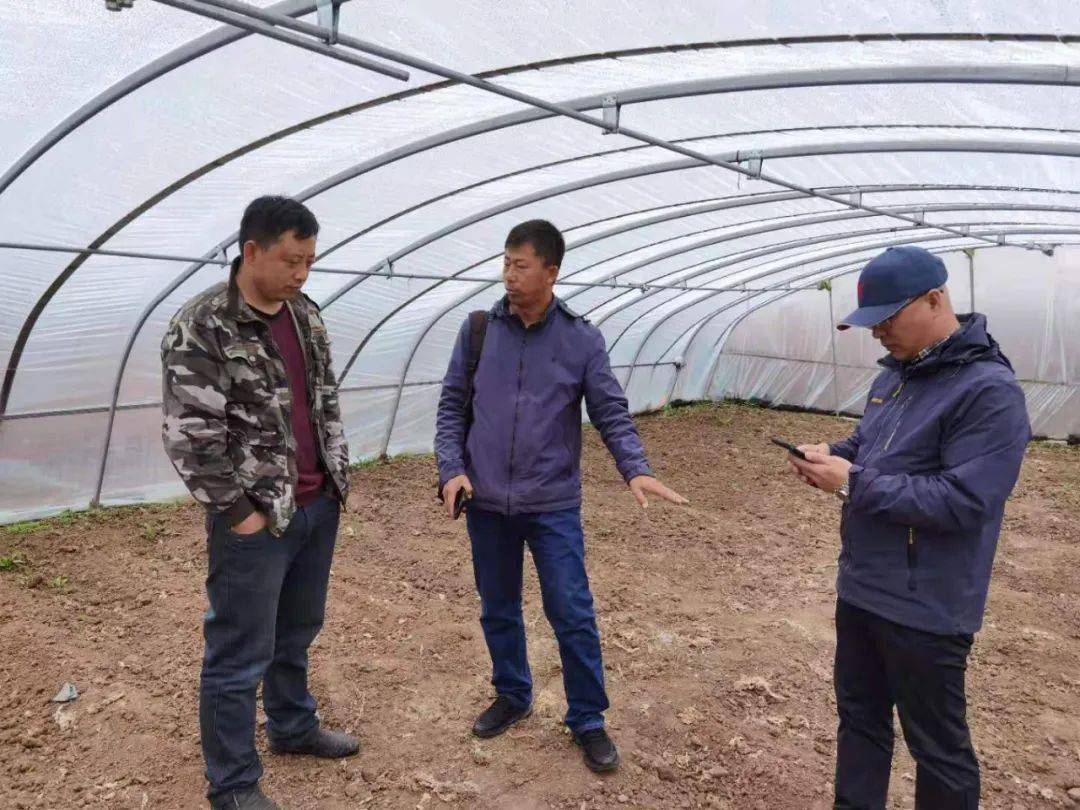 平舆在线最新招聘信息,平舆在线最新招聘信息，学习变化，成就更好的自己