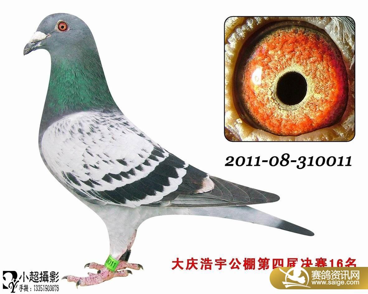 大庆浩宇公棚最新公告,大庆浩宇公棚最新公告，小巷中的独特风味小店