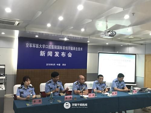 干细胞再生牙最新进展，科技重塑未来，牙齿再生梦想成真