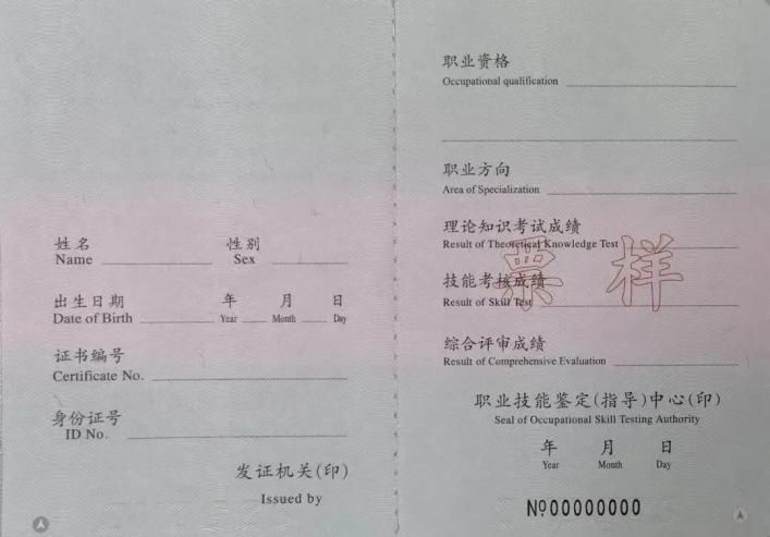 最新国家职业资格证书概览，一览表揭晓！