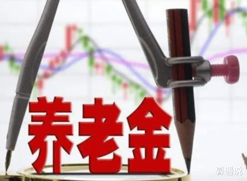 养老金补发最新动态解析与个人观点分享