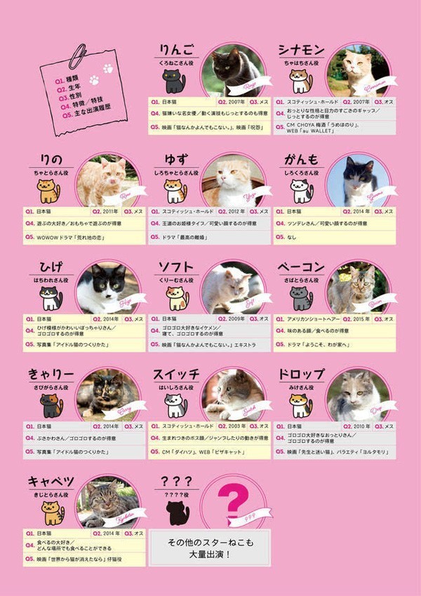 猫咪社区最新版，专属猫咪天地，打造你的养猫生活！