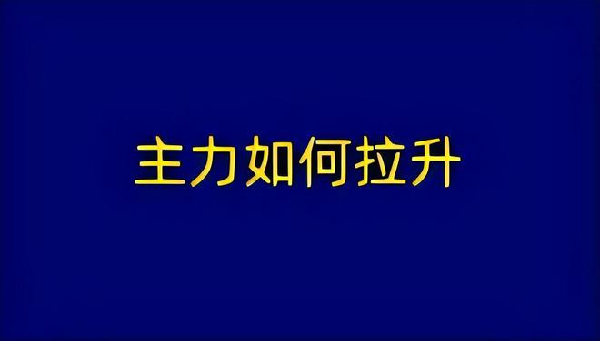 浙江世宝最新消息,浙江世宝最新消息——一场充满爱与陪伴的奇妙之旅
