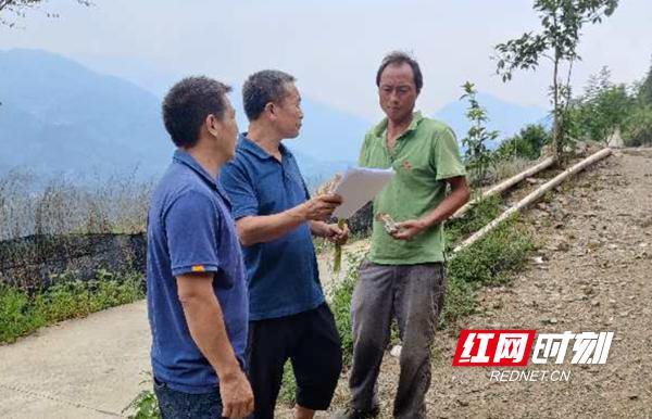 新宁物流最新消息与步骤指南
